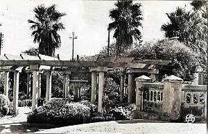Hammam bou hadjar 528- Jardins COLLECTION DES AMIS DE ND DE SANTA CRUZ